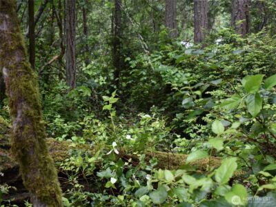 10921 Pioneer Drive , Anderson Island, WA 98303 - Photo 4