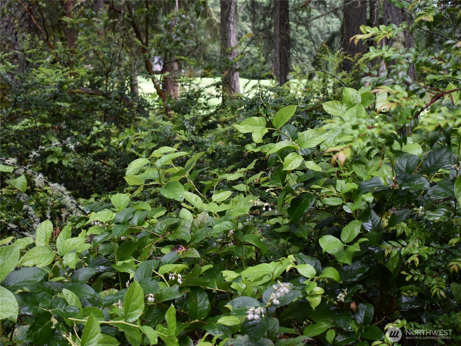 10921 Pioneer Drive , Anderson Island, WA 98303