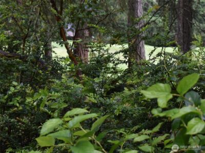 10921 Pioneer Drive , Anderson Island, WA 98303 - Photo 7