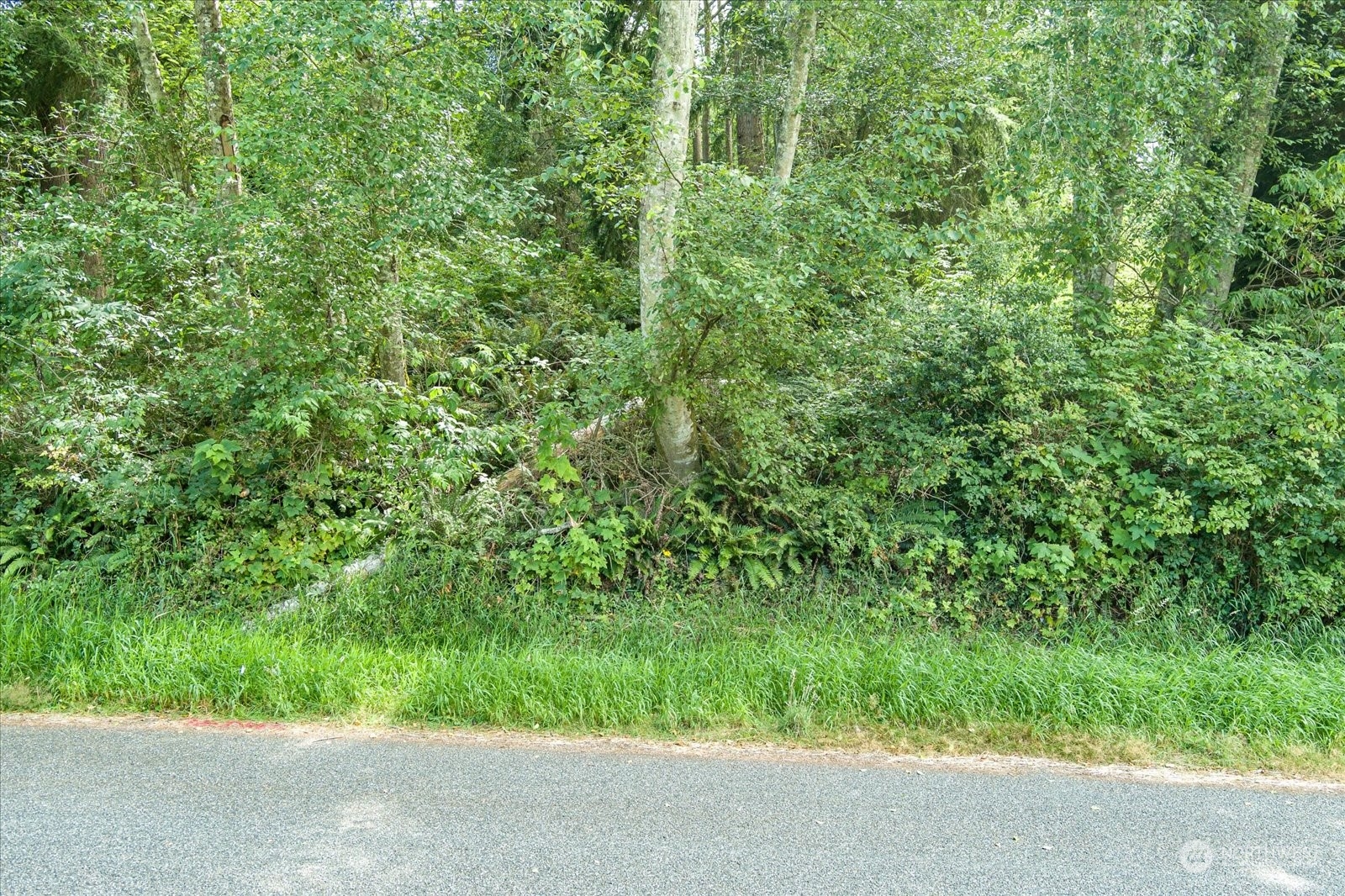 1774 Twin Oaks Lane , Freeland, WA 98249