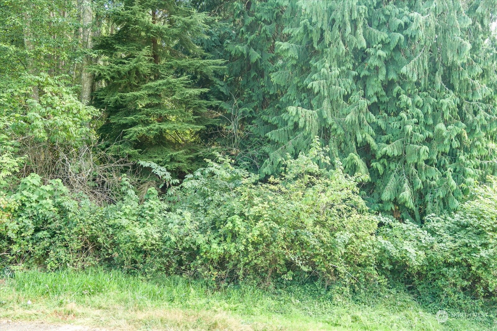 1774 Twin Oaks Lane , Freeland, WA 98249