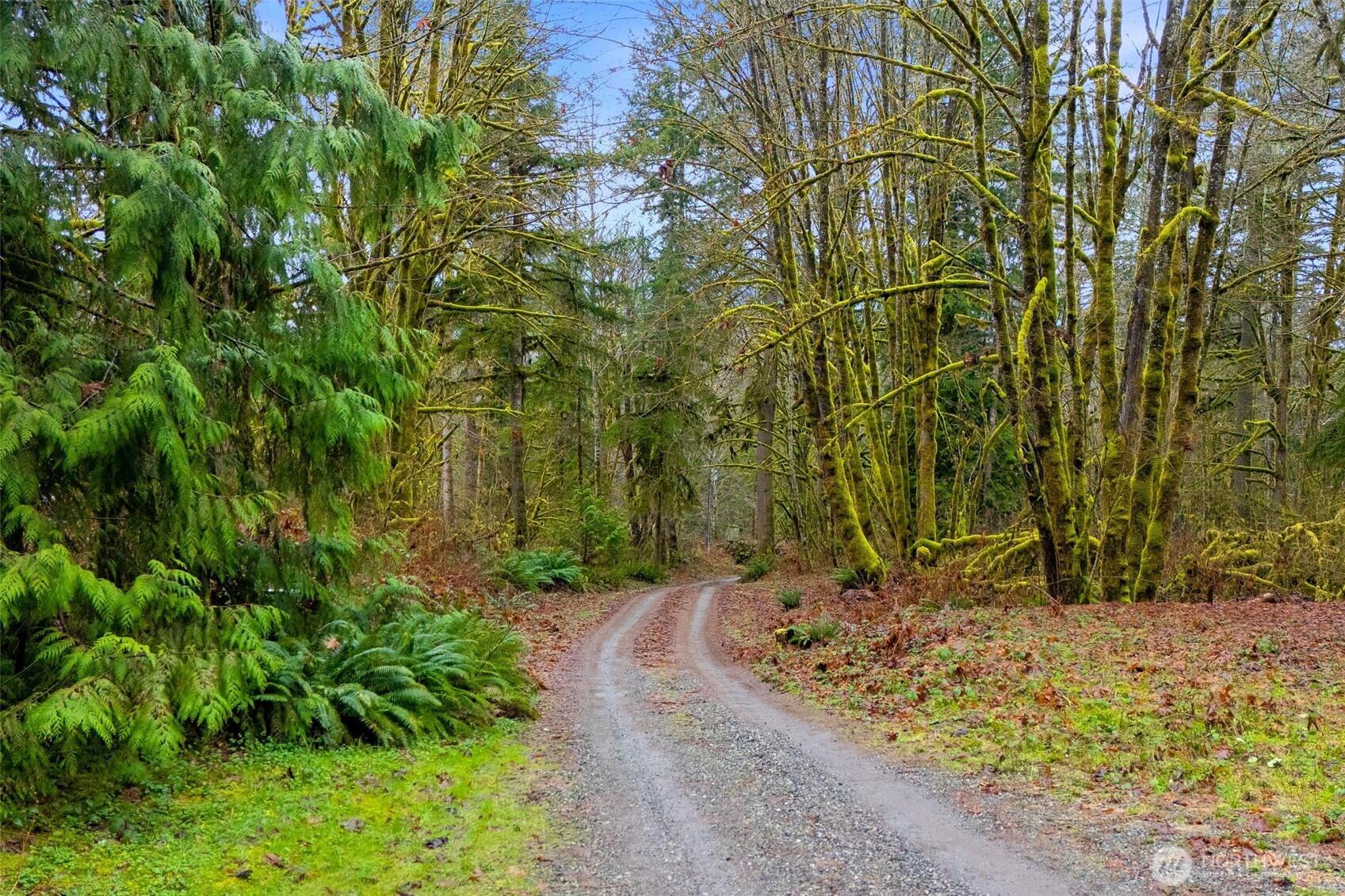 9355 Adams Drive , Concrete, WA 98237