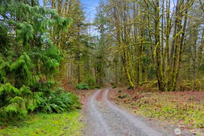 9355 Adams Drive , Concrete, WA 98237 - Photo 2