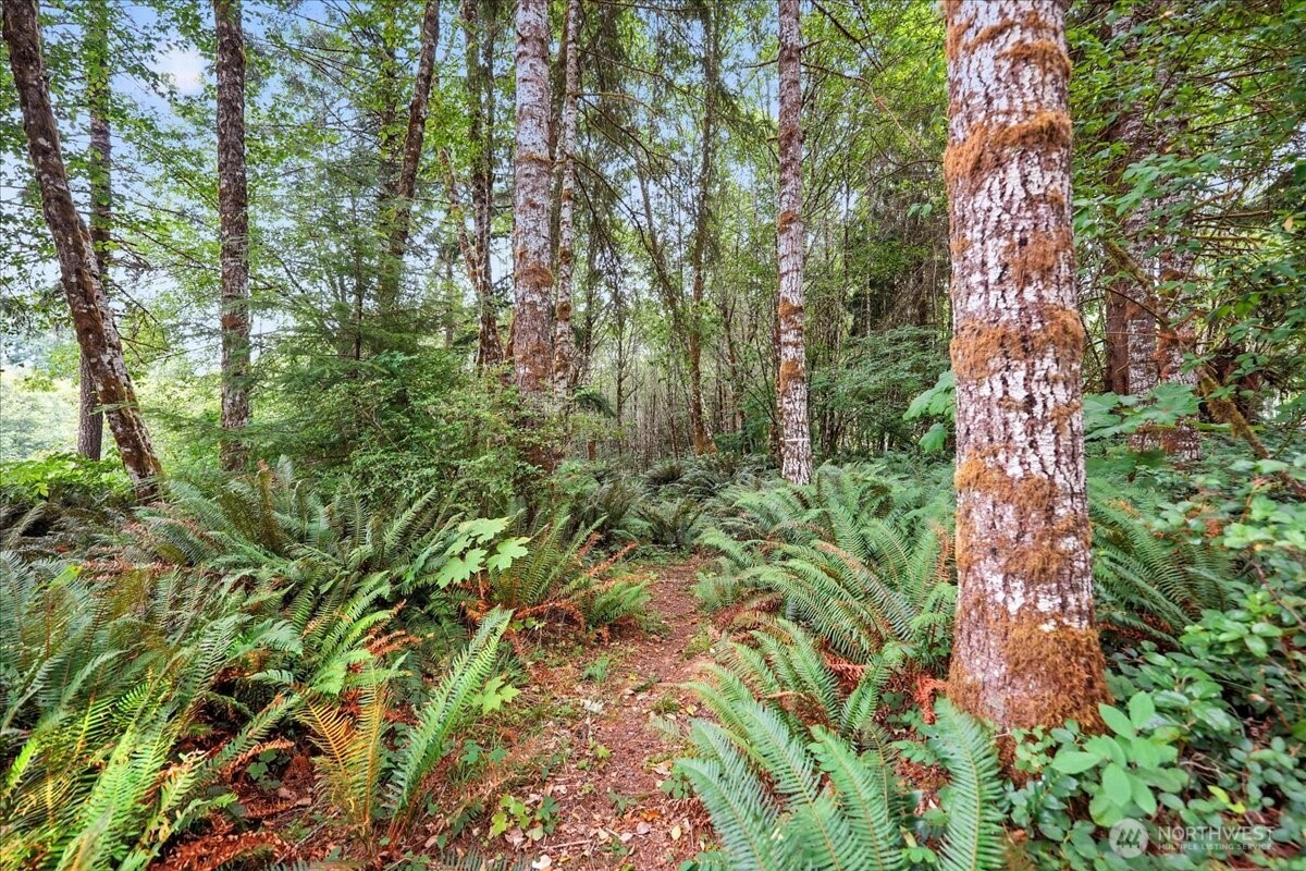 1550 Slide Creek Road , Longview, WA 98632