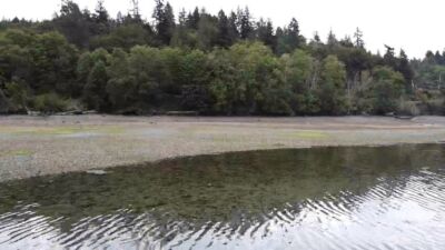 5301 E State Route 302 , Belfair, WA 98528 - Photo 12