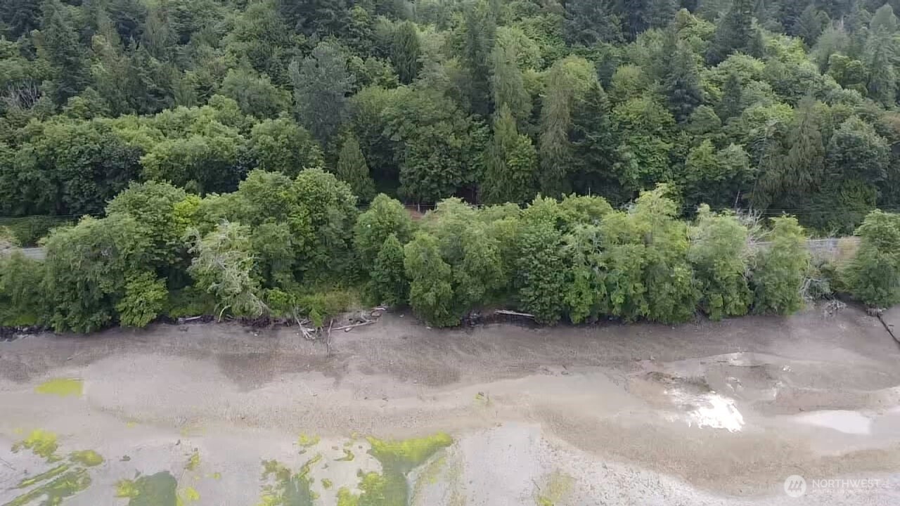 5301 E State Route 302 , Belfair, WA 98528