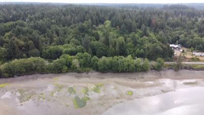 5301 E State Route 302 , Belfair, WA 98528 - Photo 14