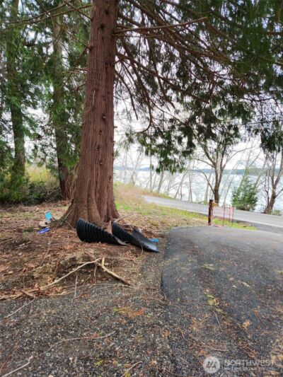 5301 E State Route 302 , Belfair, WA 98528 - Photo 6