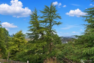 6908 31st Avenue SW, Seattle, WA 98126 - Photo 27