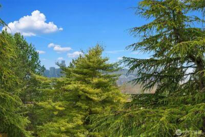 6908 31st Avenue SW, Seattle, WA 98126 - Photo 28