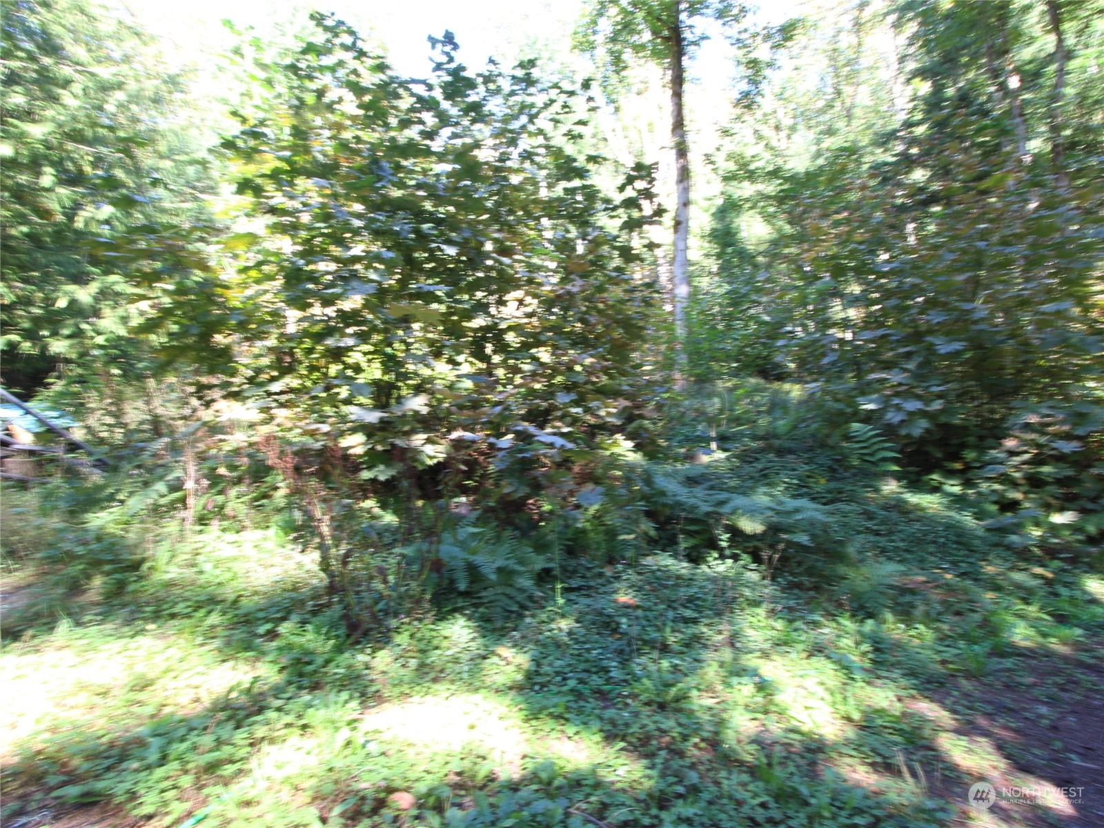 6426 Santa Fe Trail , Maple Falls, WA 98266