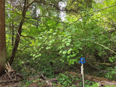 22041 Clear Lake Boulevard SE, Yelm, WA 98597 - Photo 1