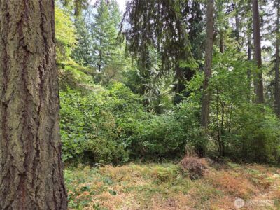 22041 Clear Lake Boulevard SE, Yelm, WA 98597 - Photo 4