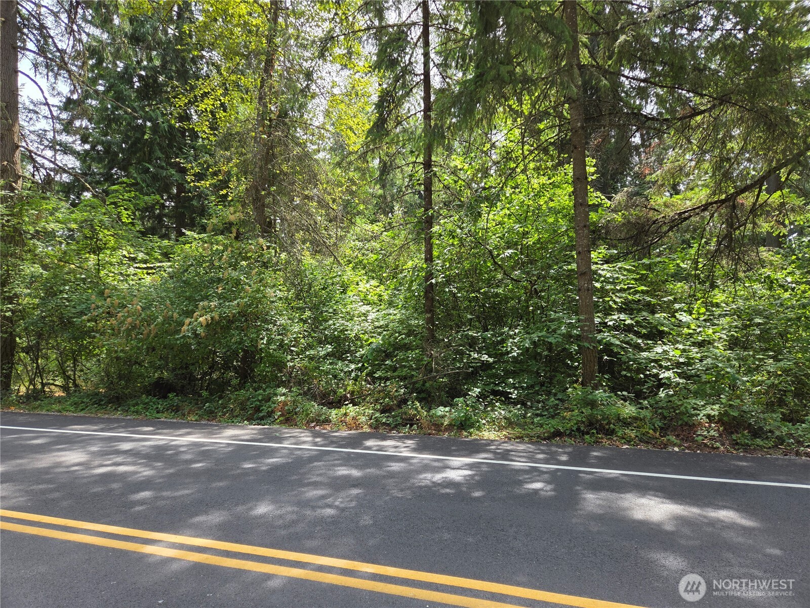 22041 Clear Lake Boulevard SE, Yelm, WA 98597