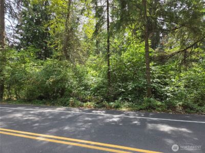 22041 Clear Lake Boulevard SE, Yelm, WA 98597 - Photo 5