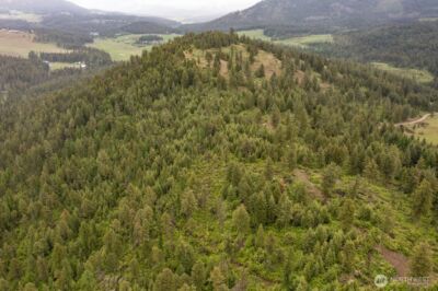 2420 A Cedonia Addy Road , Addy, WA 99101 - Photo 13