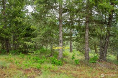 2420 A Cedonia Addy Road , Addy, WA 99101 - Photo 16