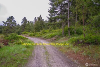 2420 A Cedonia Addy Road , Addy, WA 99101 - Photo 3