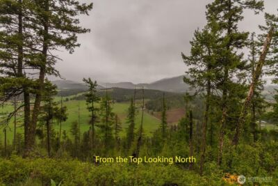 2420 A Cedonia Addy Road , Addy, WA 99101 - Photo 6