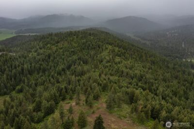 2420 A Cedonia Addy Road , Addy, WA 99101 - Photo 10