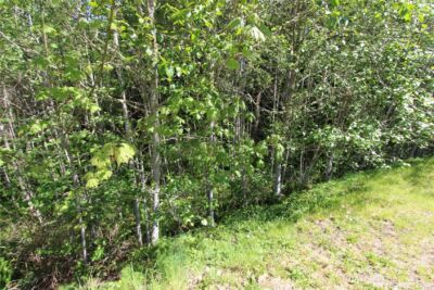 4619 Beaver Pond Drive S, Mount Vernon, WA 98274 - Photo 6