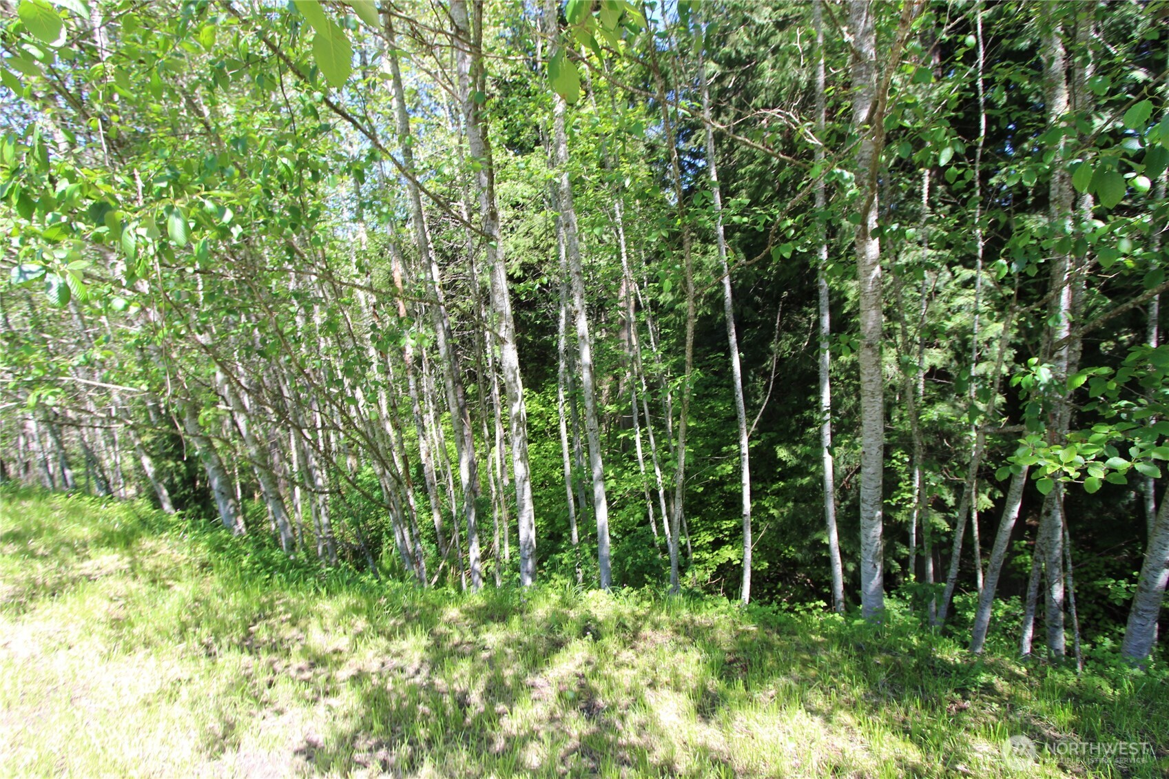 4619 Beaver Pond Drive S, Mount Vernon, WA 98274