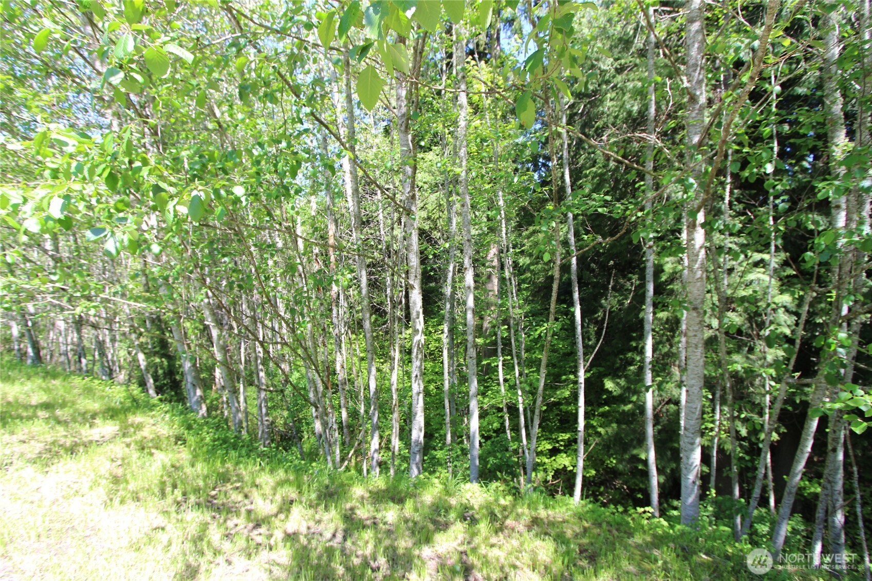 4621 Beaver Pond Drive S, Mount Vernon, WA 98274