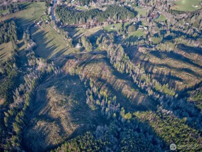 0 Tract 3 South Valley Road , Naselle, WA 98638 - Photo 13