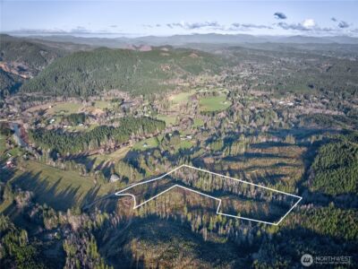 0 Tract 3 South Valley Road , Naselle, WA 98638 - Photo 16