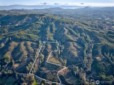 0 Tract 3 South Valley Road , Naselle, WA 98638 - Photo 18