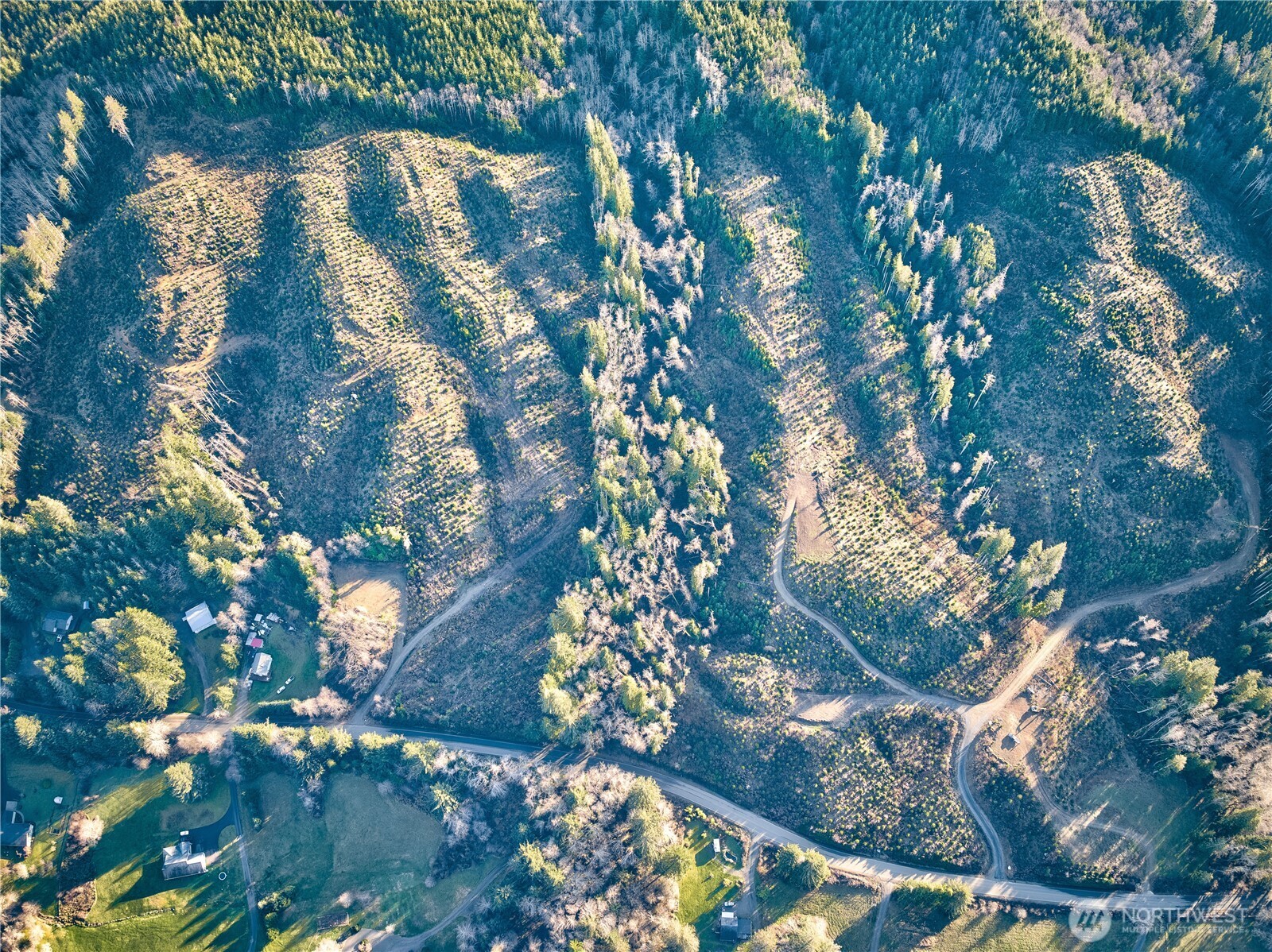 0 Tract 3 South Valley Road , Naselle, WA 98638