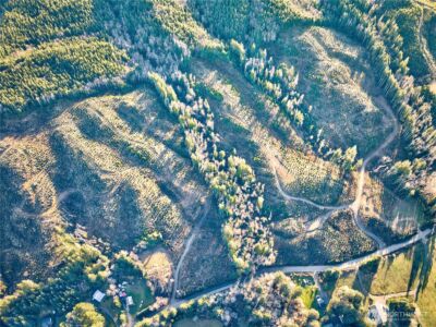 0 Tract 3 South Valley Road , Naselle, WA 98638 - Photo 5