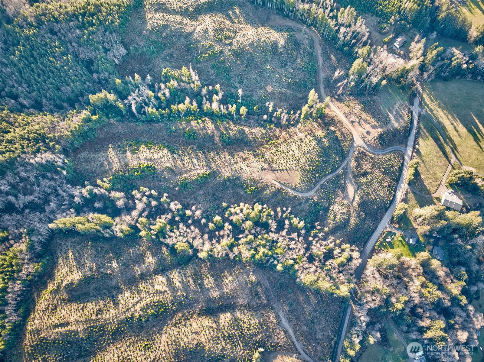 0 Tract 3 South Valley Road , Naselle, WA 98638