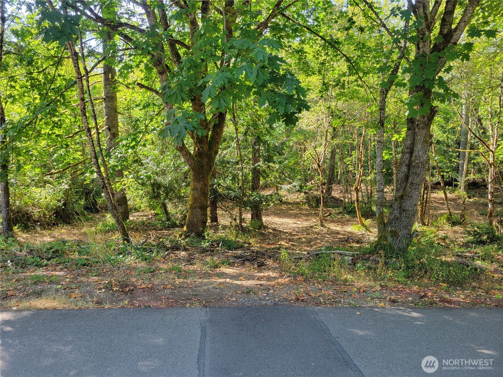 900 E Wilson Way , Grapeview, WA 98546