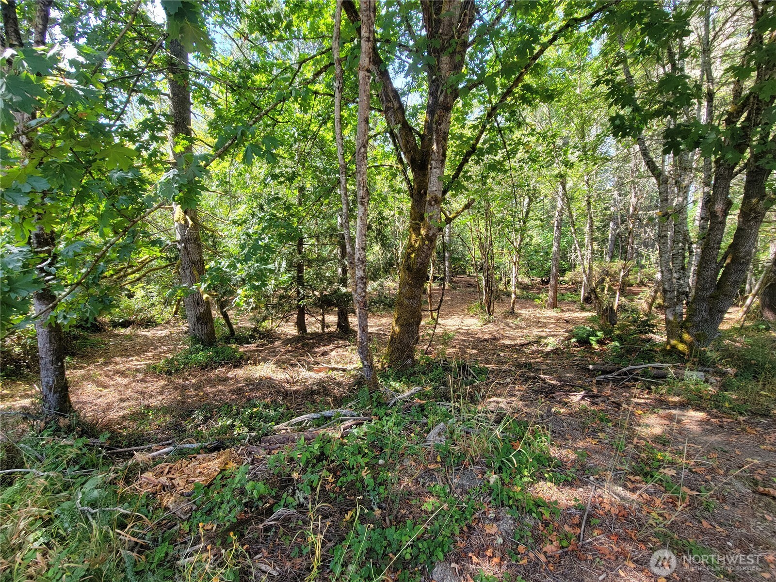 900 E Wilson Way , Grapeview, WA 98546