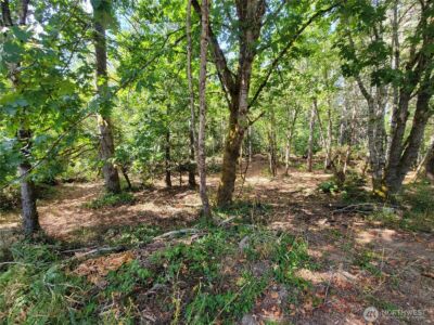 900 E Wilson Way , Grapeview, WA 98546 - Photo 11