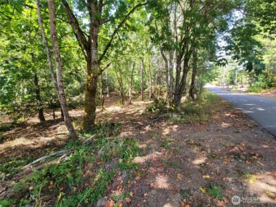 900 E Wilson Way , Grapeview, WA 98546 - Photo 12