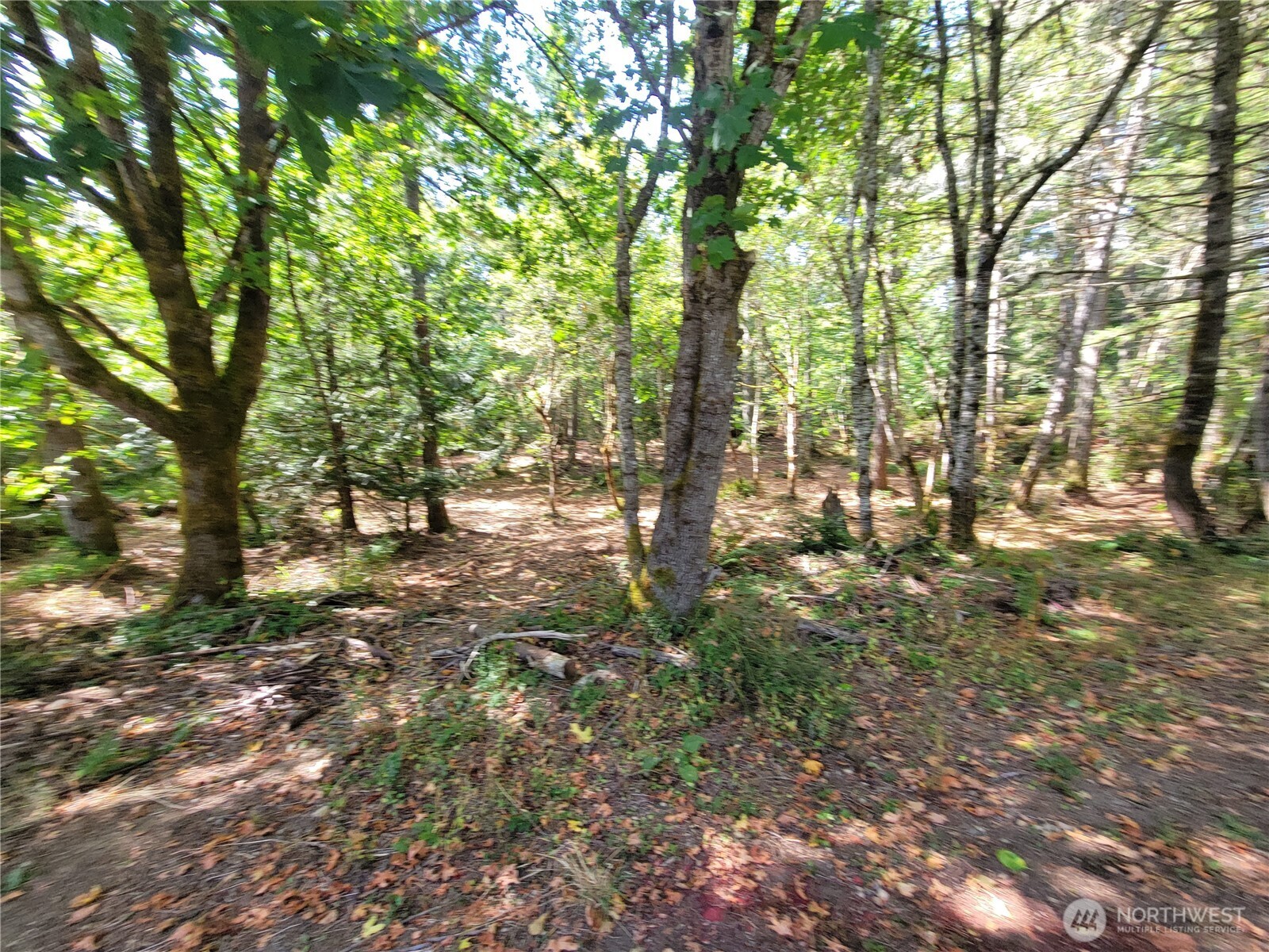 900 E Wilson Way , Grapeview, WA 98546