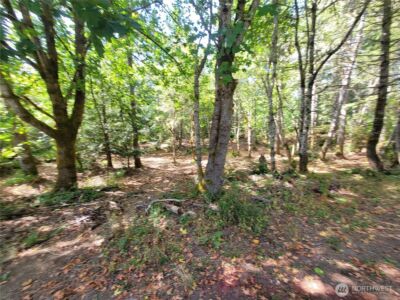 900 E Wilson Way , Grapeview, WA 98546 - Photo 14