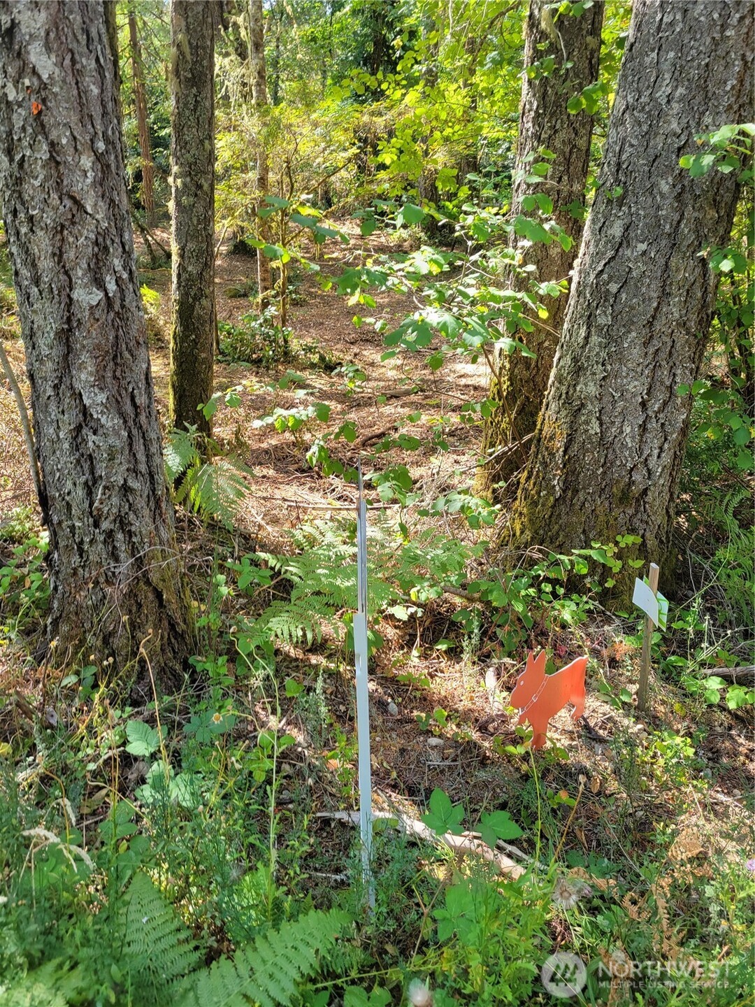 900 E Wilson Way , Grapeview, WA 98546