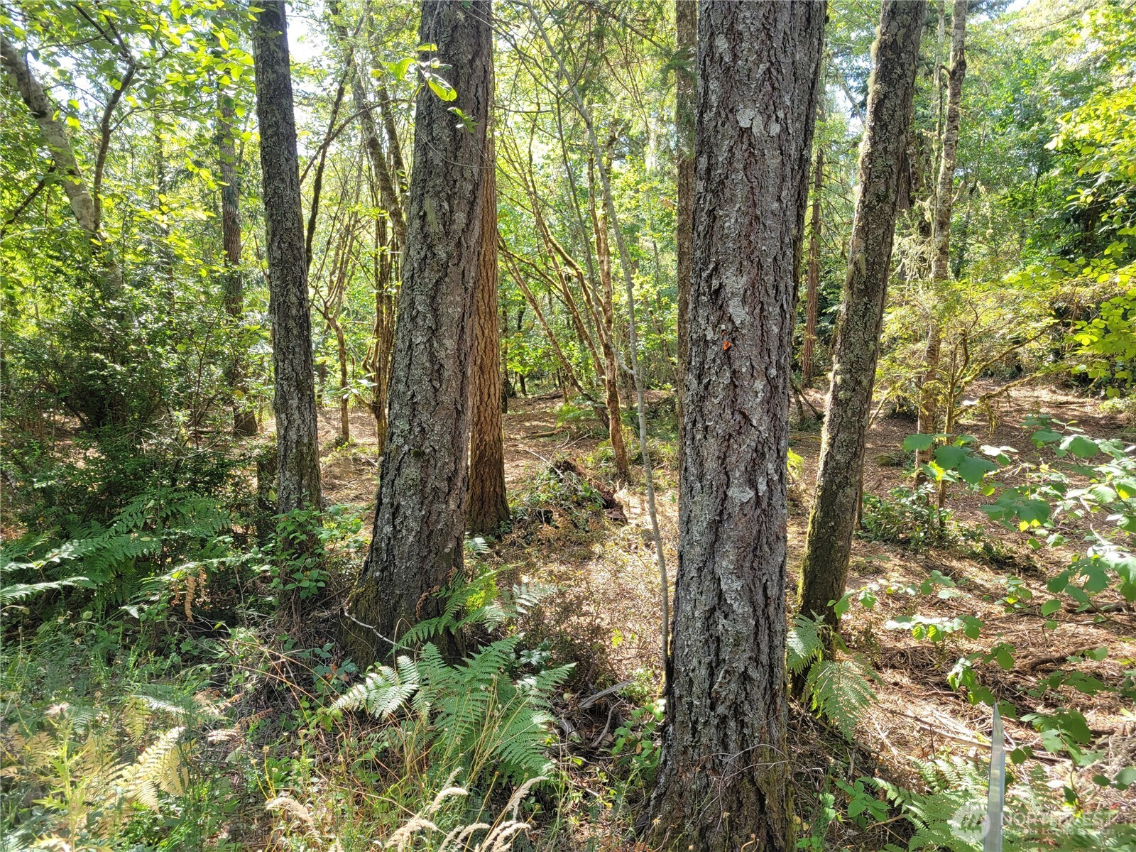 900 E Wilson Way , Grapeview, WA 98546