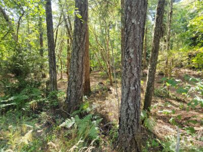 900 E Wilson Way , Grapeview, WA 98546 - Photo 17