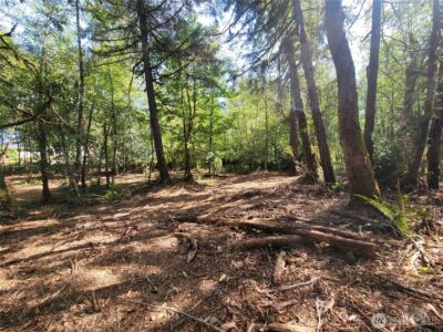 900 E Wilson Way , Grapeview, WA 98546 - Photo 19