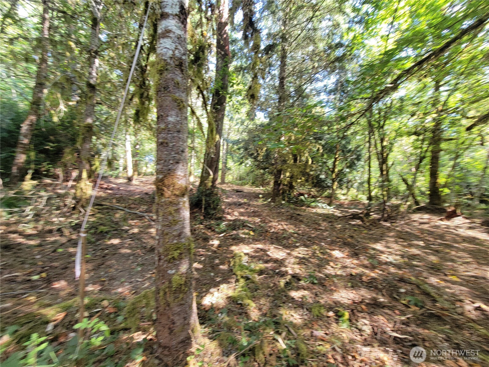 900 E Wilson Way , Grapeview, WA 98546