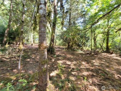 900 E Wilson Way , Grapeview, WA 98546 - Photo 20