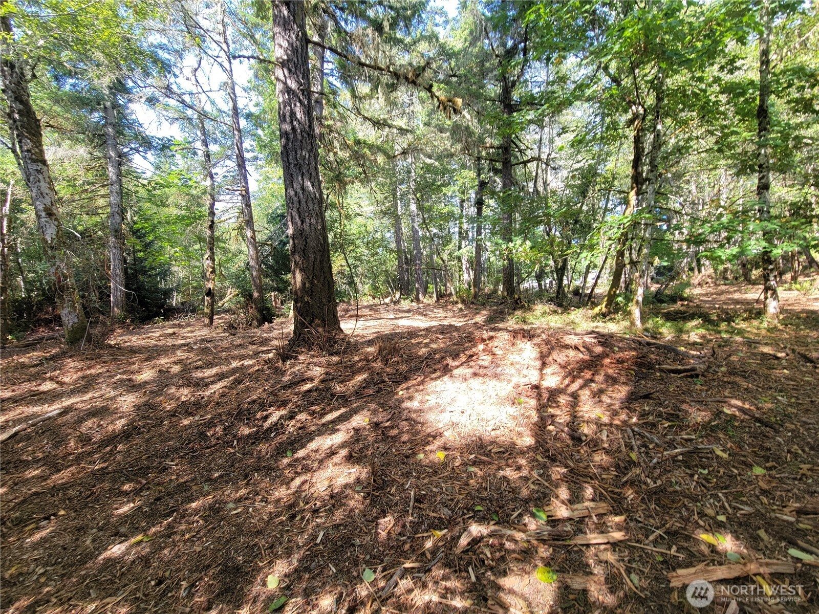 900 E Wilson Way , Grapeview, WA 98546