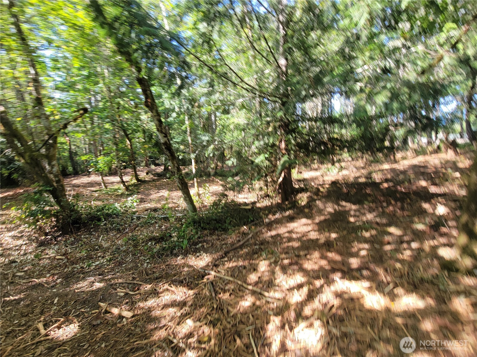 900 E Wilson Way , Grapeview, WA 98546