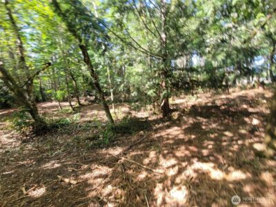 900 E Wilson Way , Grapeview, WA 98546 - Photo 21