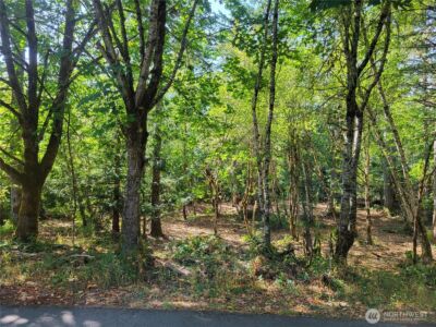 900 E Wilson Way , Grapeview, WA 98546 - Photo 22