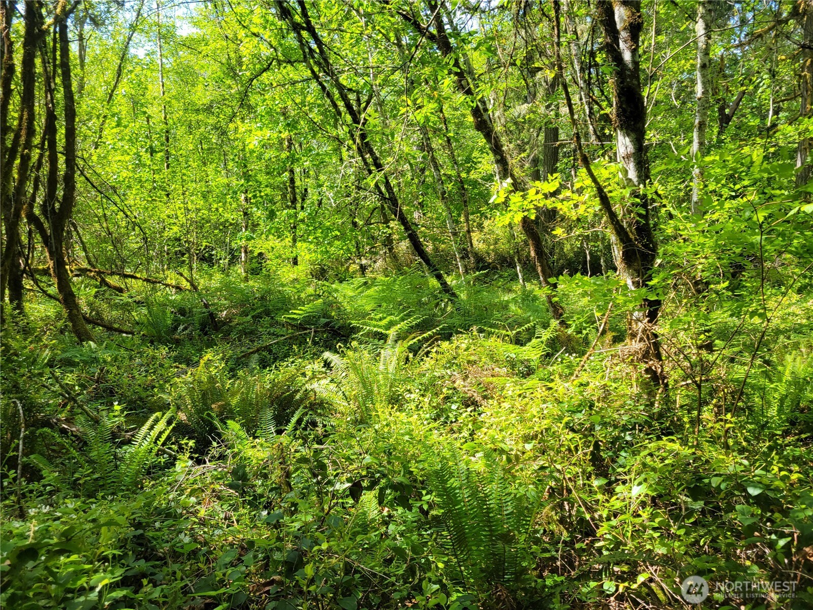 900 E Wilson Way , Grapeview, WA 98546